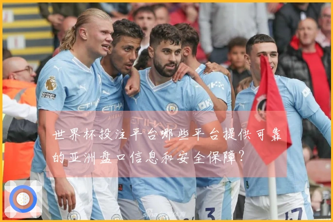 世界杯投注平台哪些平台提供可靠的亚洲盘口信息和安全保障？