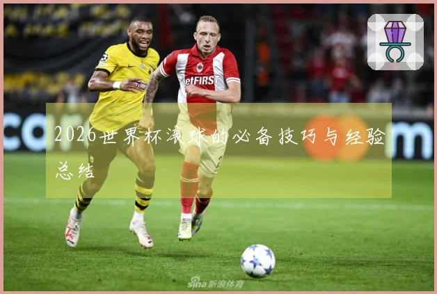 2026世界杯滚球的必备技巧与经验总结