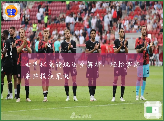 世界杯竞猜玩法全解析,轻松掌握最热投注策略