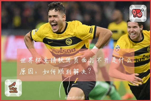世界杯竞猜软件页面打不开是什么原因，如何顺利解决？