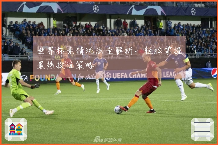 世界杯竞猜玩法全解析，轻松掌握最热投注策略
